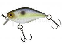 Leurre Illex Chubby 38 mm 4g - Pearl Sexy Shad