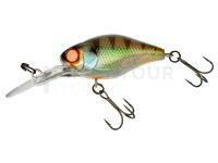 Leurre dur Illex Diving Chubby 38 mm 4.3g - Magic Green Perch