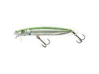 Leurre Illex Hagre Minnow 96 F 96mm 12.2g - RT Visible Roach