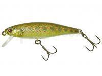Leurre Dur Illex Tiny Fry 50 SP RT - Truitelle