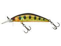 Leurre Illex Tricoroll GT 56 MD F 4.3g - HL Gold Trout