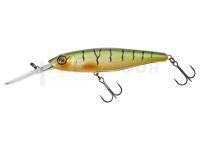 Leurre Illex Twitch Flesh 95 D2R 18.3g - Perch