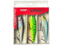 Leurre Jaxon Atract Logis XHI 8cm F - MIX