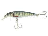 Leurre Durs Jaxon Atract Spark XHC 6.5cm - L