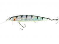 Leurre Jaxon Atract Uklej F 11cm 12g - H