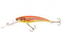 Leurre Jaxon Diver 11 DR CD