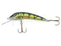 Leurre Jaxon Ferox 12 F OA