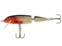 Leurre Jaxon Holo Select Horn 11cm 16g F - RB