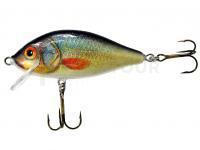 Jaxon Karas 5.5cm F Color UK