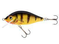 Jaxon Karas 8m F Color OG