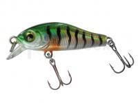 Leurre Jenzi T-Rex Wobbler Minnow Trout 35SR 35mm 2g - C