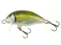 Leurre Kenart Chubby 4cm 3.5g - GF