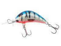 Leurre Kenart Diver 4cm PB