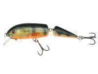 Leurre Dorado Leurre Dorado Bombon 13cm 32g F - P - Metal Lip