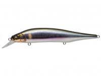 Leurre Megabass Ito Shiner 115 SP | 115mm 14g - WAGIN SETSUKI AYU