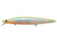 Leurre Megabass Marine Gang 140 S | 140mm 28g - PM CHART BACK RAINBOW