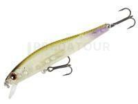 Leurre Mikado Jive 90mm 10.5g - IL