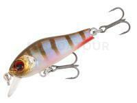 Leurre Mikado Prominnow 35mm 2g - OP