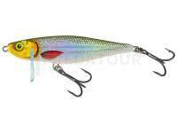 Leurre Salmo Thrill TH7S - Silver Halo