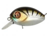 Leurre Pontoon21 Baby Red Rag 32F SR | 32mm 4.8g - 107 Crash HG Perch