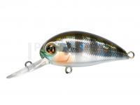 Leurre Pontoon21 Hypnose 38F MDR | 38mm 4g - 007 Crash HG Gill