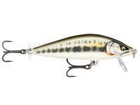 Leurre Rapala CountDown Elite 5.5cm 5g - Gilded Minnow (GDMN)