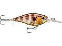 Leurre Rapala X-Light Shad 4cm 4g - GGIU - Glassy Gill UV