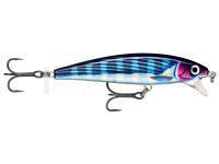 Leurre dur Rapala X-Rap Magnum Cast 10cm 42g - HDBTO HD Bonito