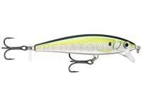 Leurre dur Rapala X-Rap Magnum Cast 10cm 42g - PLD Pilchard