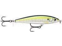 Leurre dur Rapala X-Rap Magnum Prey 10cm 41g - PLD Pilchard