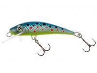 Leurre River Custom Baits Fury 5 cm 4g - T011