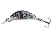 Leurre Salmo Hornet 2.5cm 2.4g S - Holo Grey Shiner