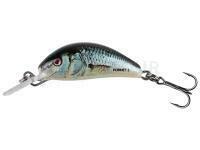 Leurre Salmo Hornet 2.5cm 2.4g S - Real Dace