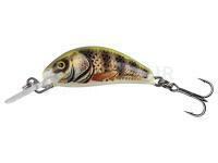Leurre Salmo Hornet 2.5cm 2.4g S - Real Identity Perch