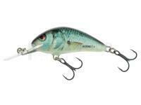 Salmo Hornet H3F RD