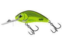 Leurre Salmo Hornet Rattlin H4.5 - Chartreuse