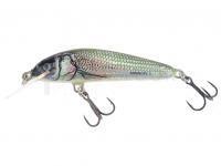 Leurre Salmo Minnow M5F - Holo Bleak