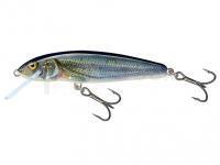 Leurre Salmo Minnow M6S 6cm - Spirlin