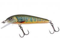 Leurre Salmo Minnow Sinking 5 | 5cm 5g | 2" 3/16oz - Lake Charr