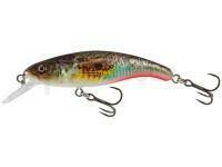 Leurre Salmo Slick Stick 6cm - Supernatural Gobie