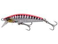 Leurre mer Savage Gear Gravity Minnow 6cm 12g Fast Sinking - Pink Barracuda Photo Print