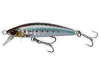 Leurre mer Savage Gear Gravity Minnow 6cm 12g Fast Sinking - Sardine Photo Print