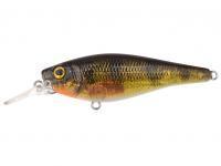 Leurre Spro Ikiru Shad 70SL | 7cm 10g SF - Perch