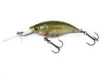 Leurre dur Westin BuzzBite Crankbait 5cm 6g Suspending - Lake Roach