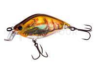 YO-ZURI Leurres durs 3DR Flat Crank