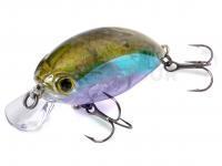 Quantum Leurres Fat Minnow SR