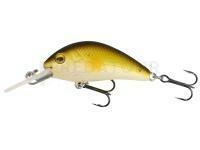 Mikado Fishunter Cavalier