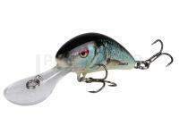 Salmo Hornet 6 cm