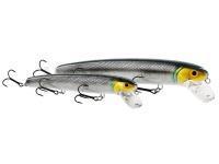 Westin Leurres durs Jätte Crankbait