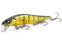 Megabass VISION ONETEN SR
